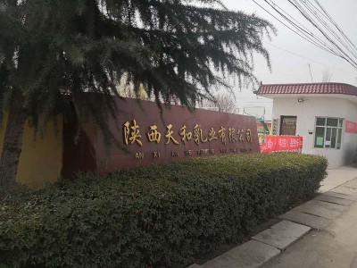 寶雞天和乳業(yè)污水處理、鍋爐改造、除塵器布袋跟換案例